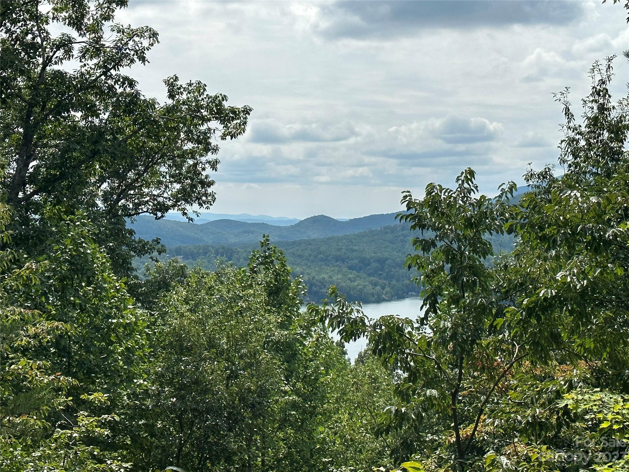 Rumbling Bald on Lake Lure - Land