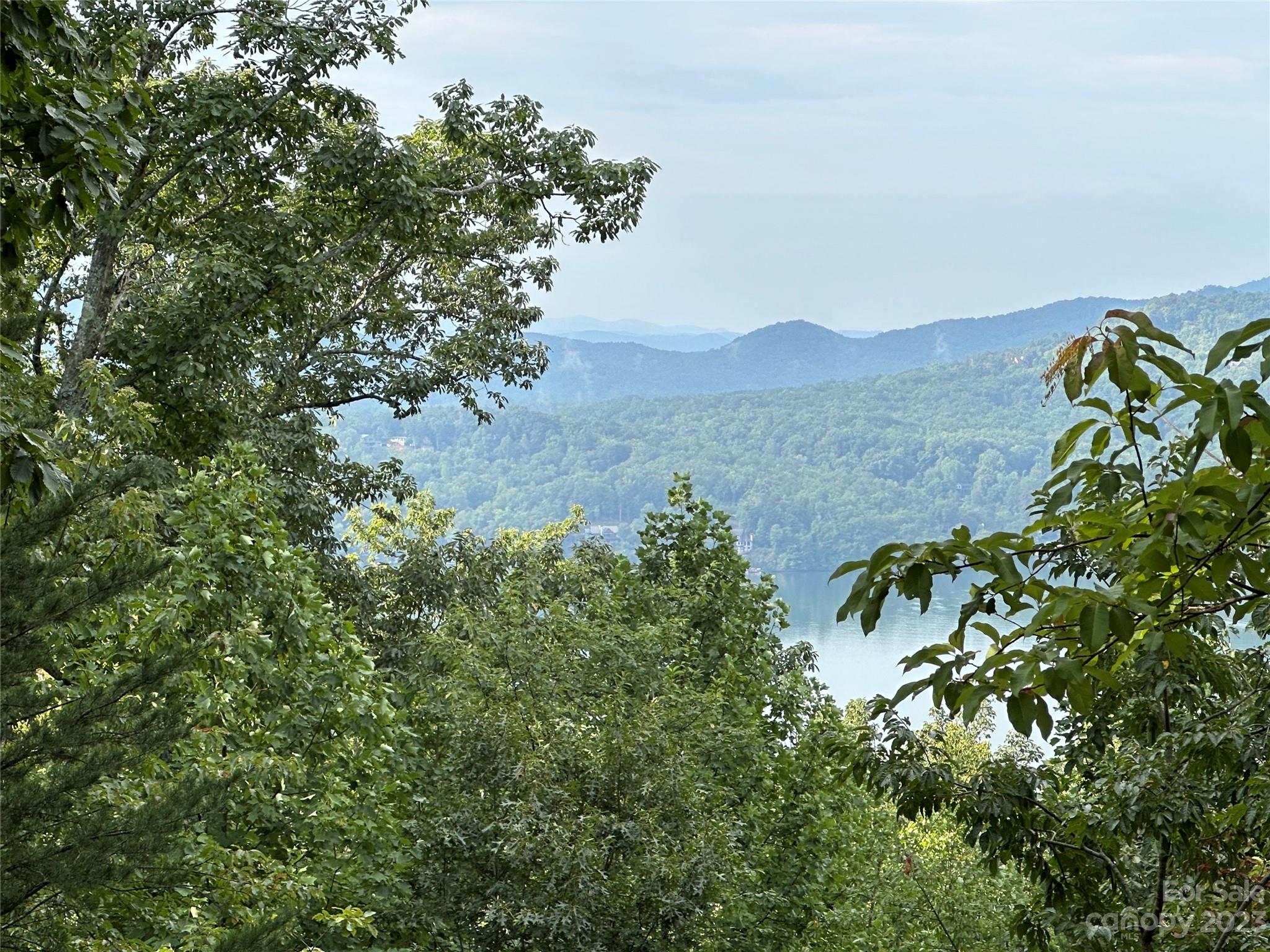 Rumbling Bald on Lake Lure - Land