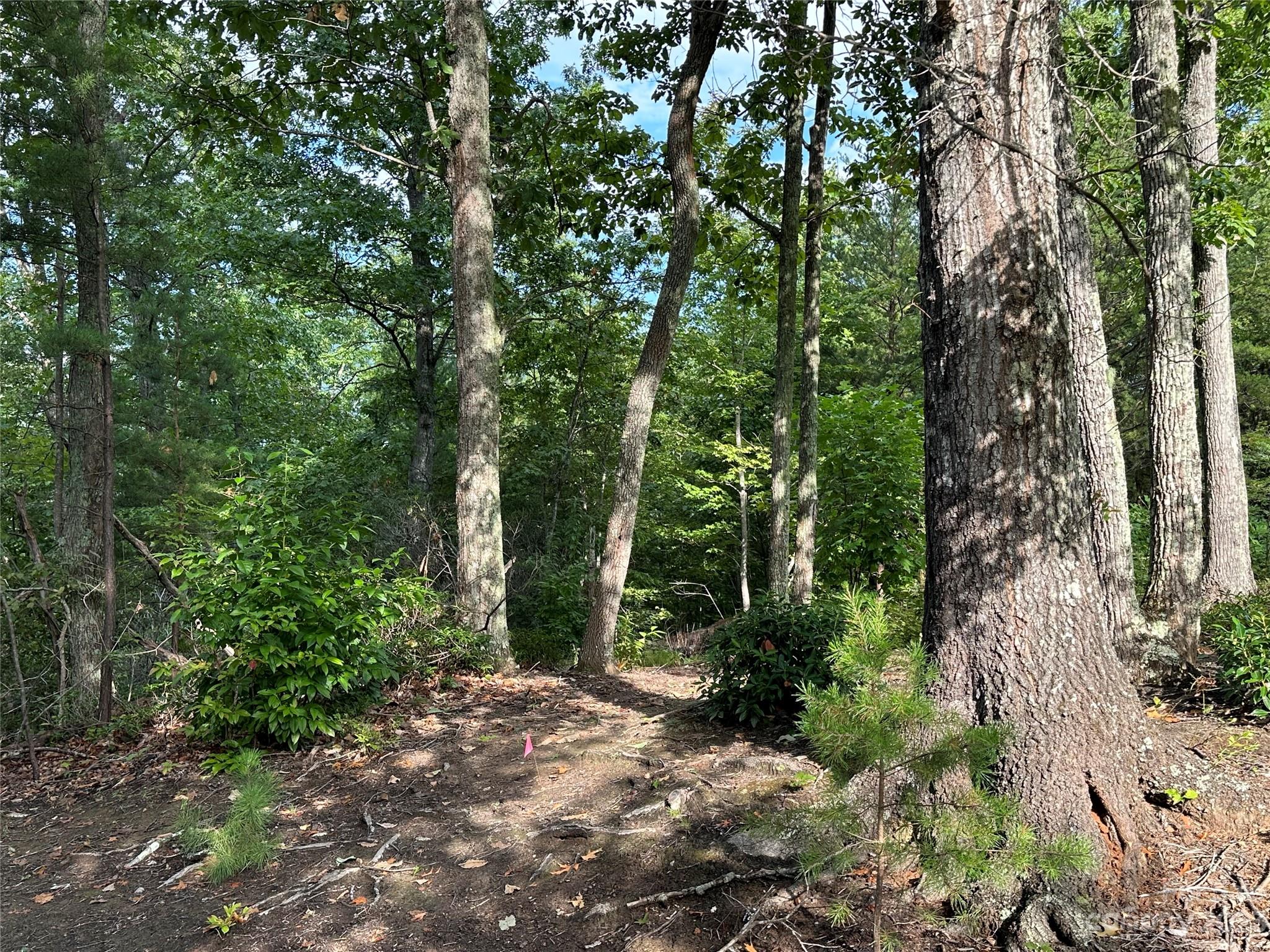 Rumbling Bald on Lake Lure - Land