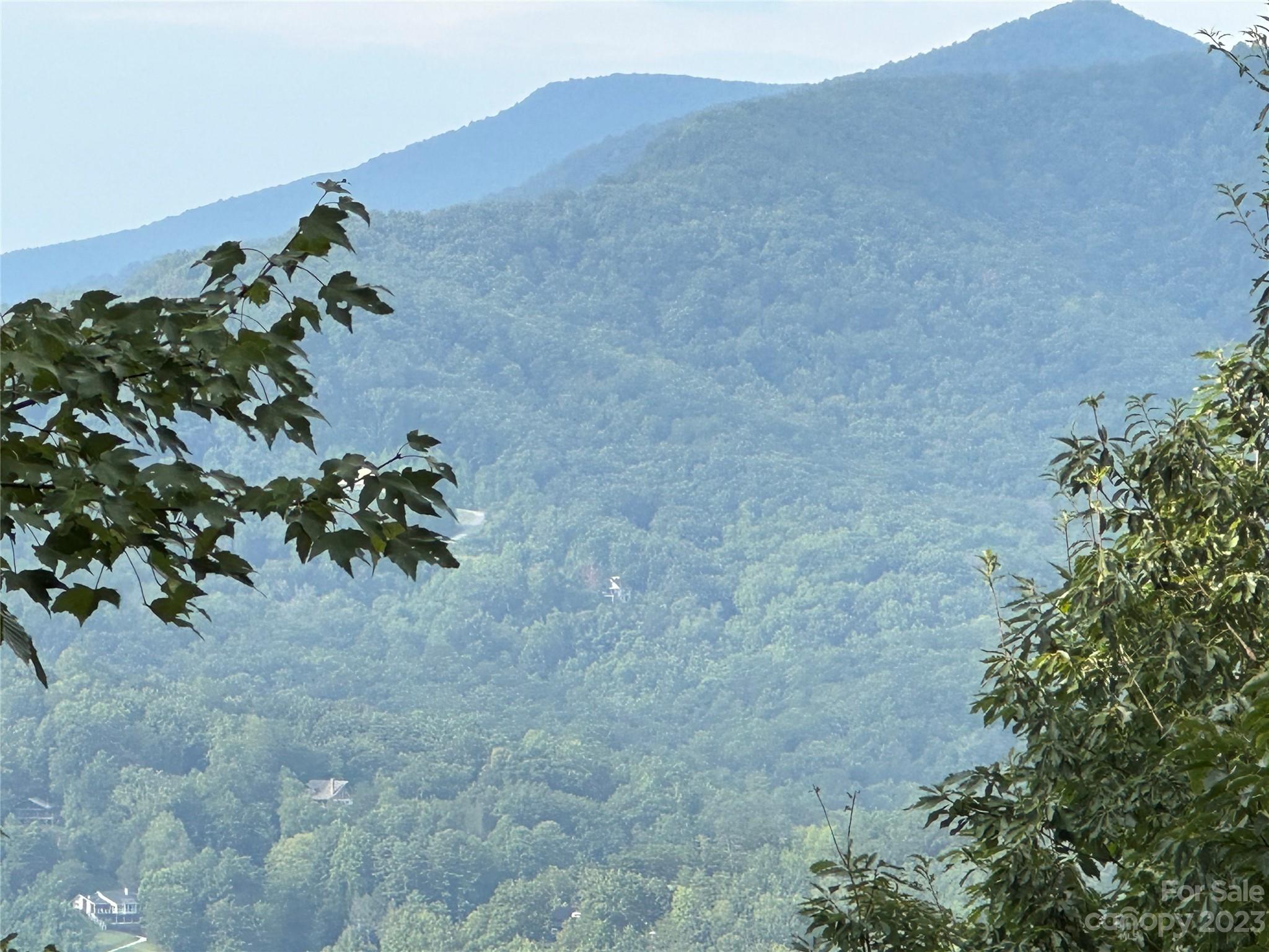 Rumbling Bald on Lake Lure - Land