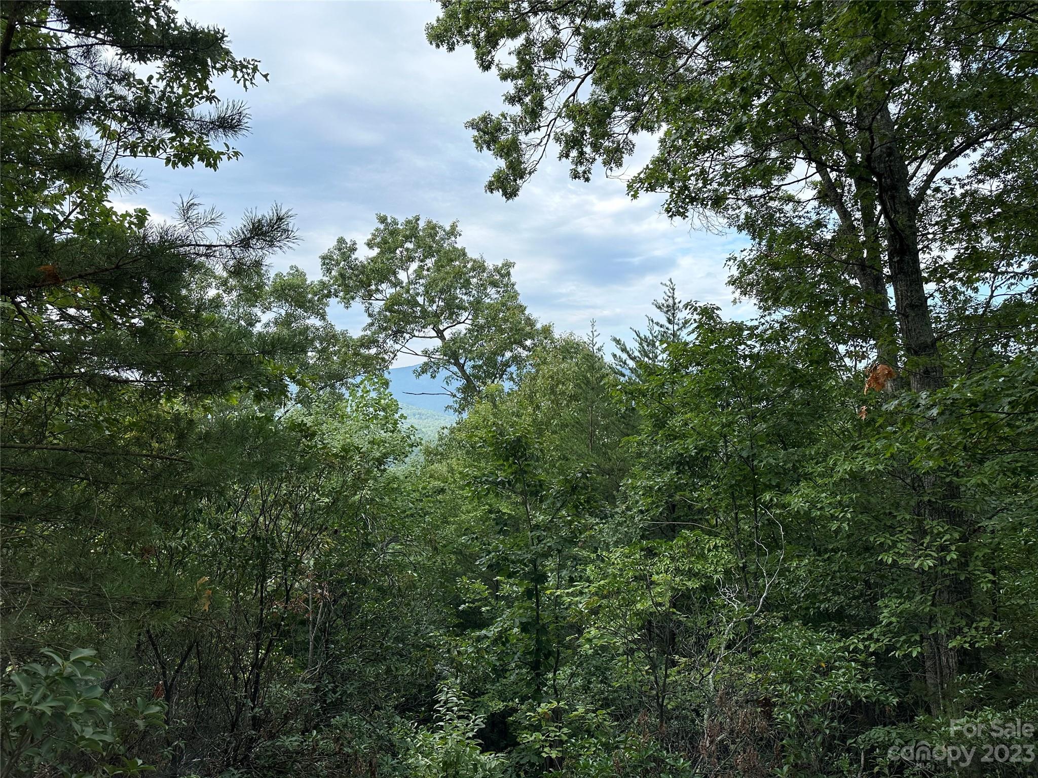 Rumbling Bald on Lake Lure - Land