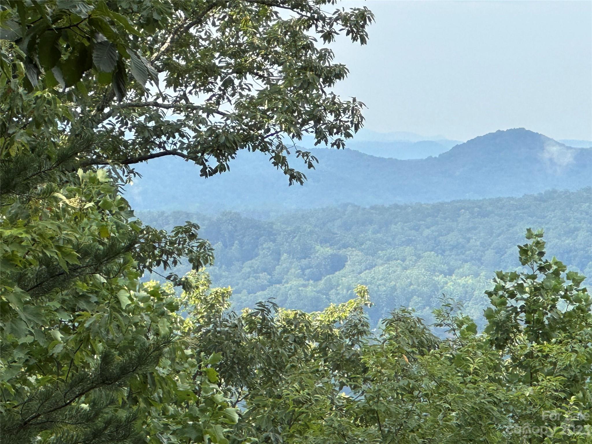 Rumbling Bald on Lake Lure - Land