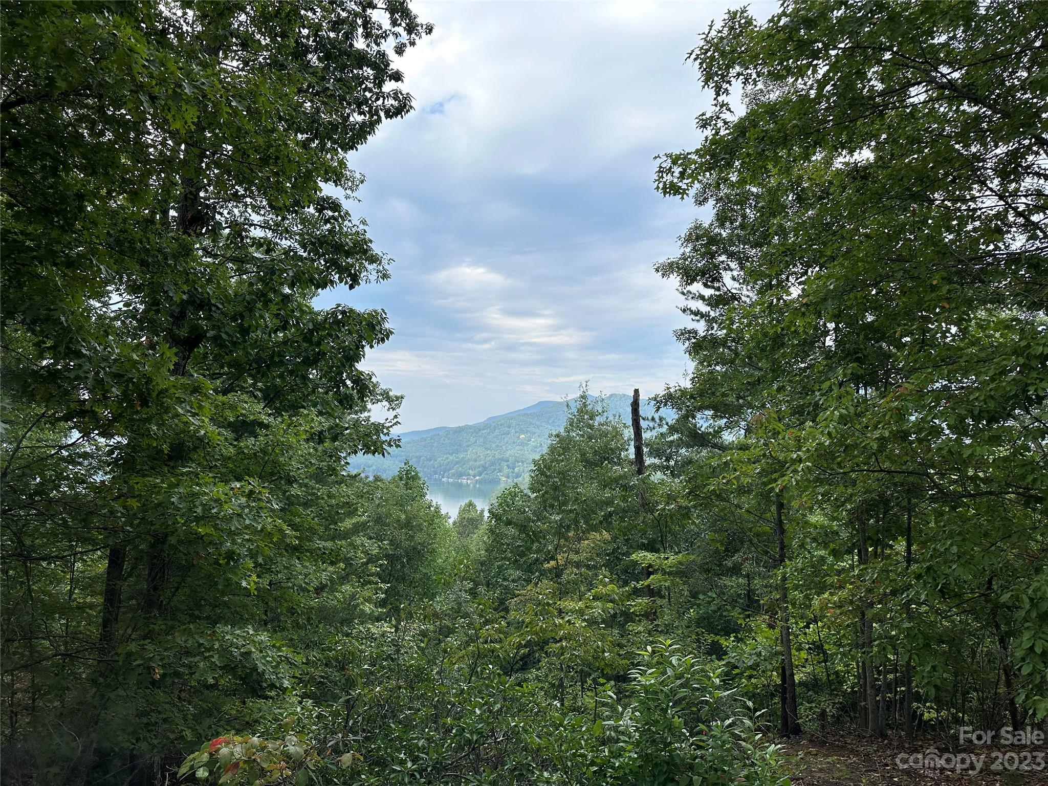 Rumbling Bald on Lake Lure - Land