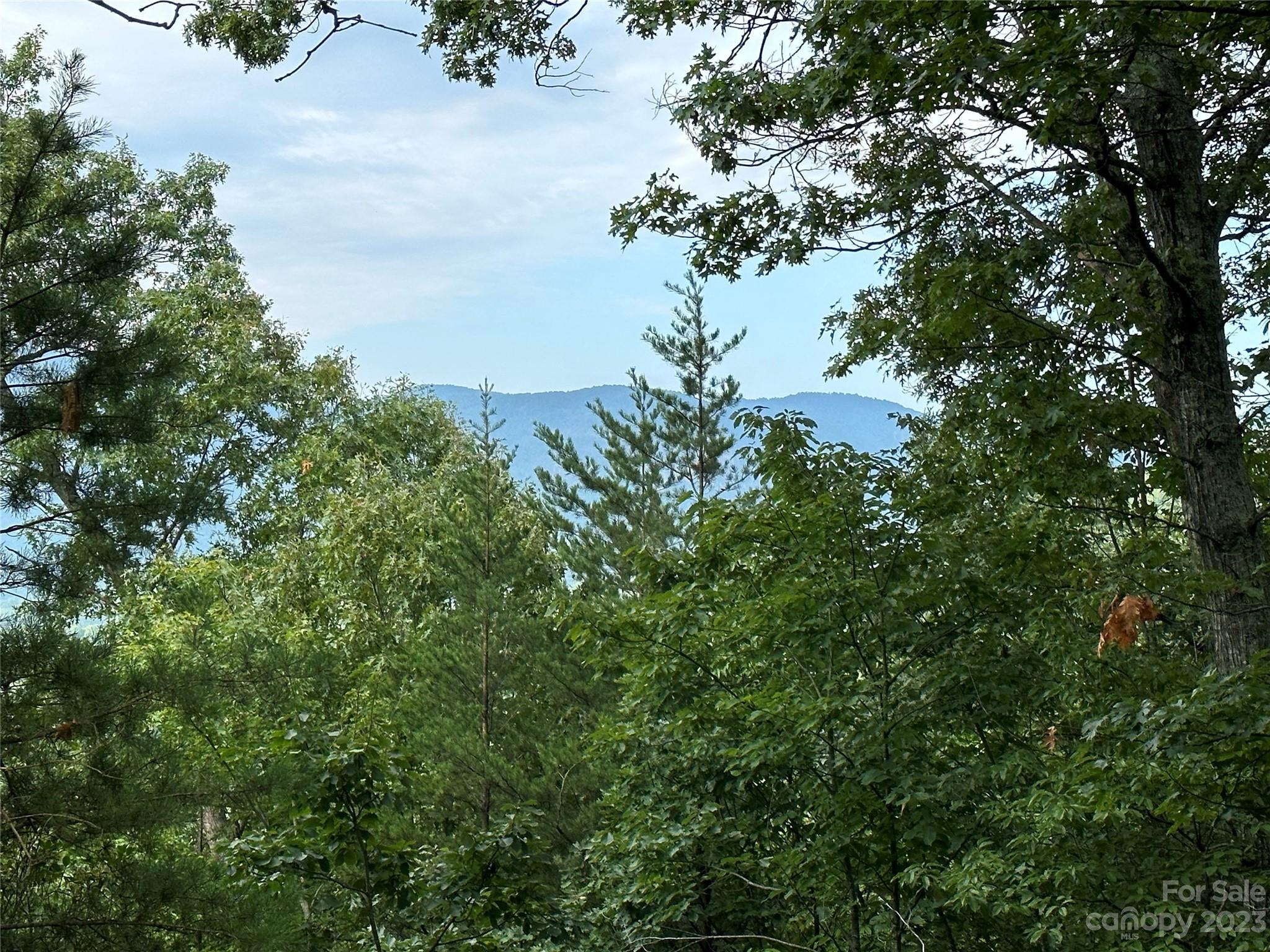 Rumbling Bald on Lake Lure - Land
