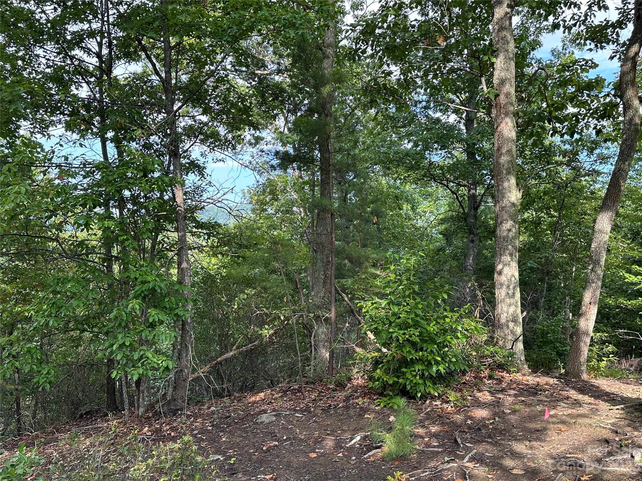 Rumbling Bald on Lake Lure - Land