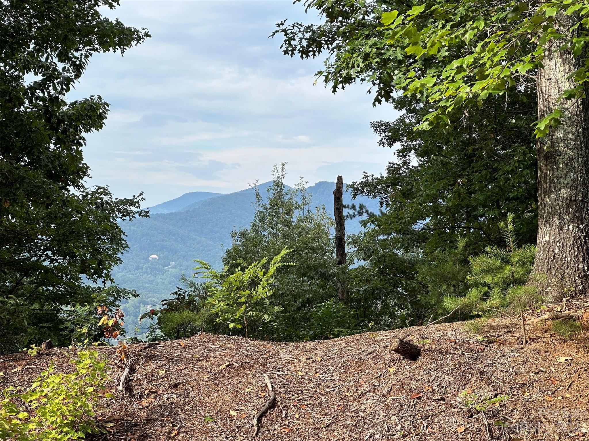 Rumbling Bald on Lake Lure - Land