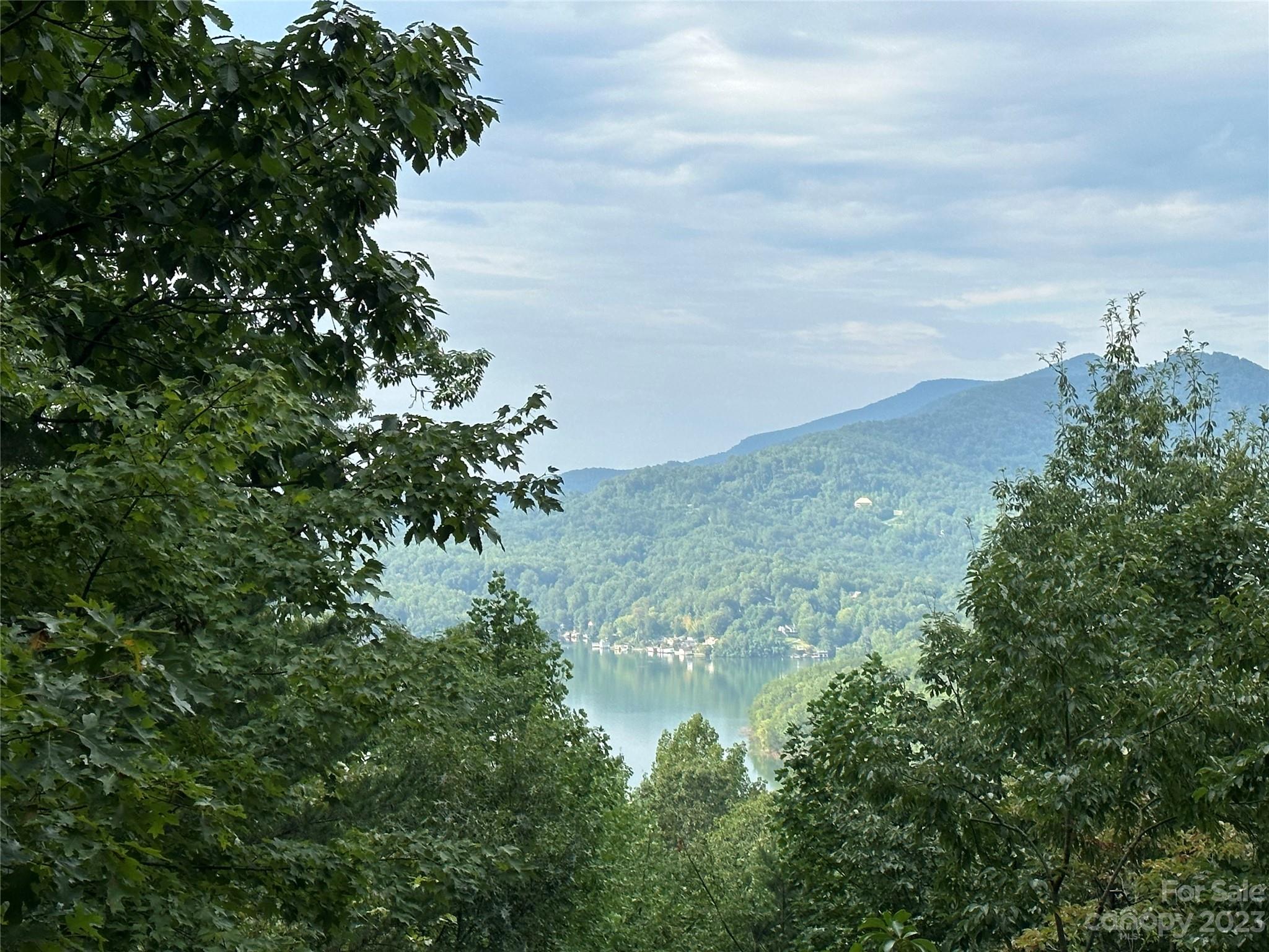 Rumbling Bald on Lake Lure - Land