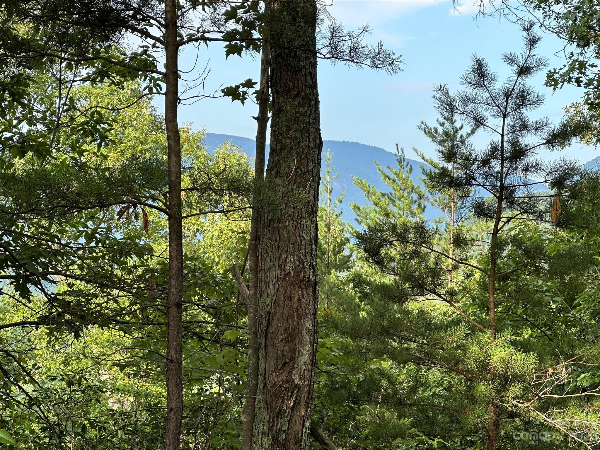 Rumbling Bald on Lake Lure - Land