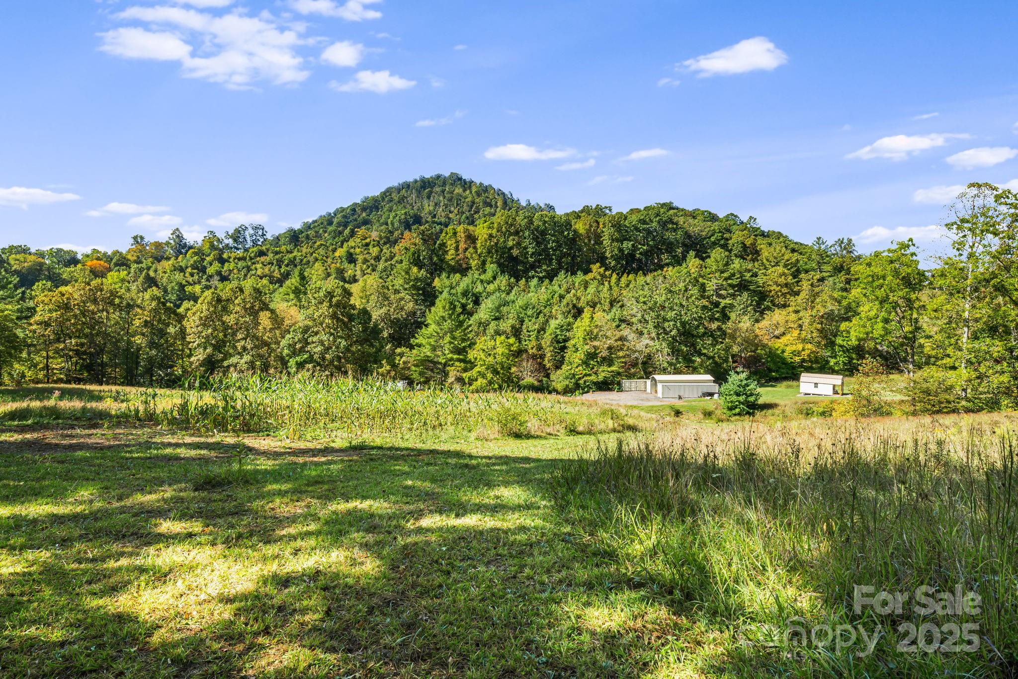 456 Maney Branch Road