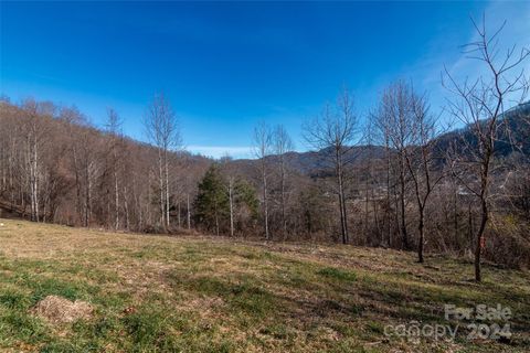 A home in Waynesville