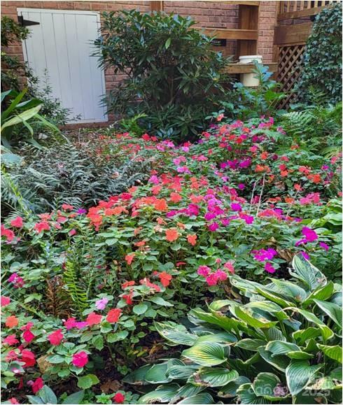 Abbington Woods - Residential