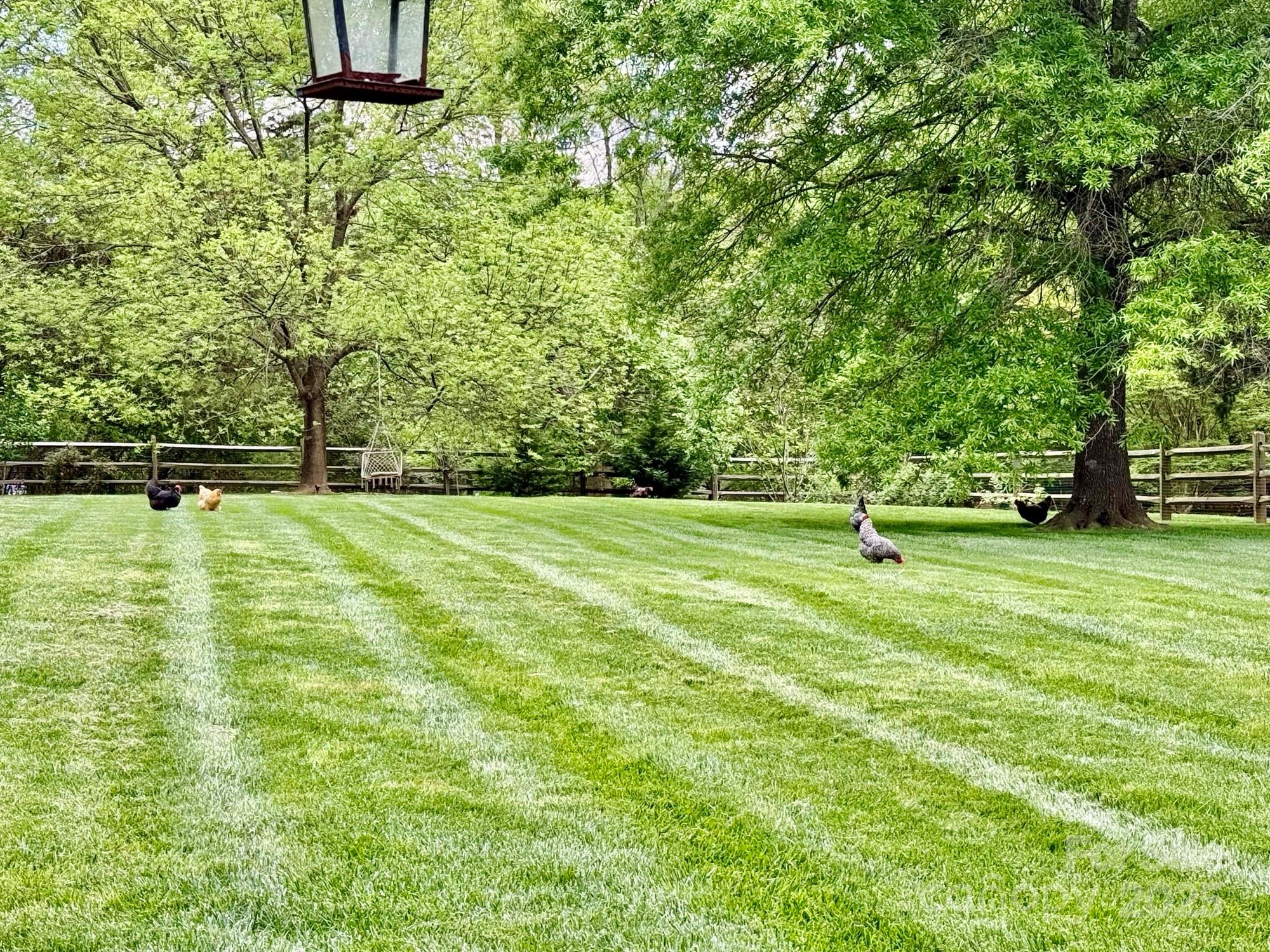 2258 Rising Sun Lane