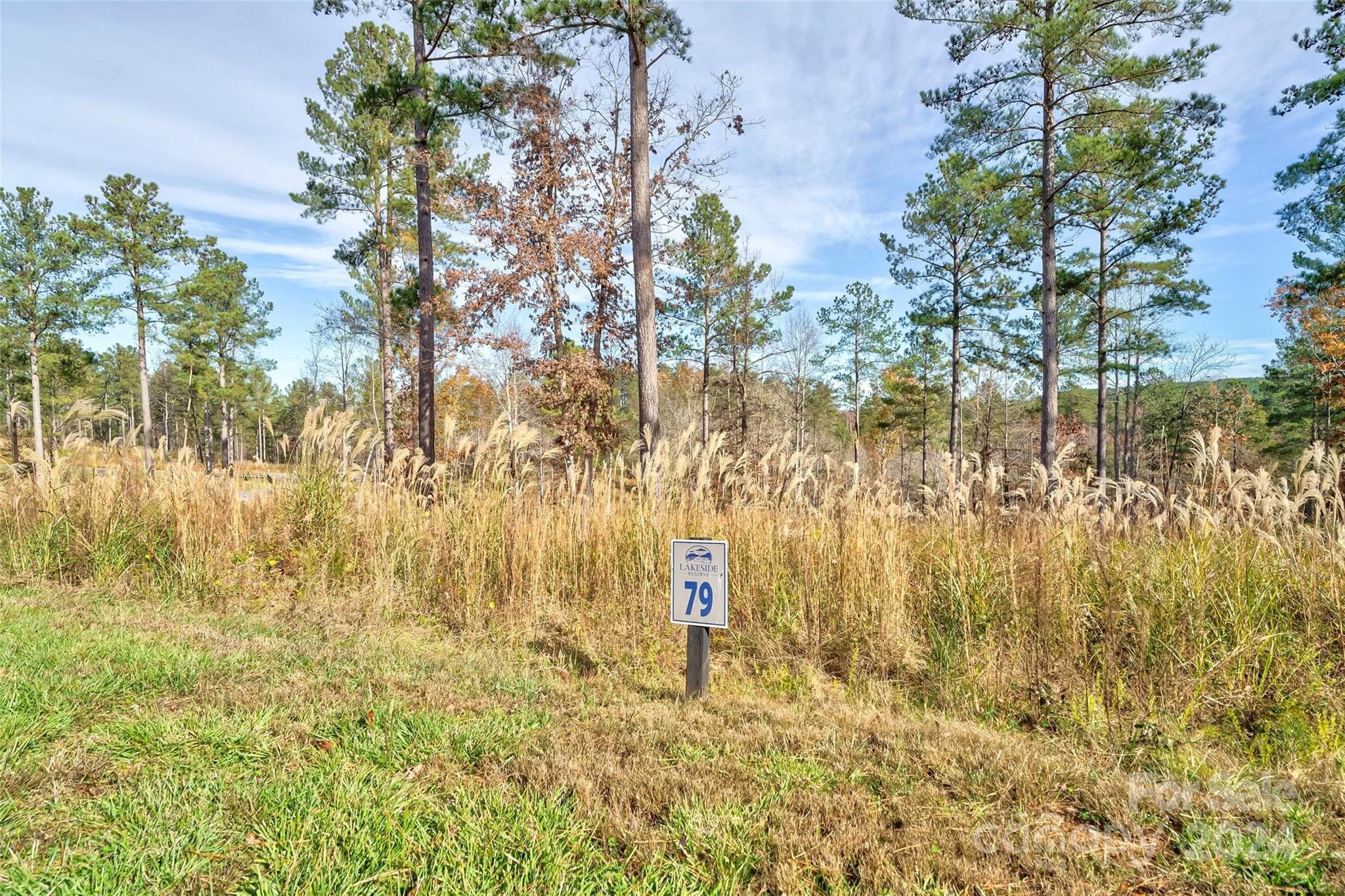 3084 Mount Harvard Court 79