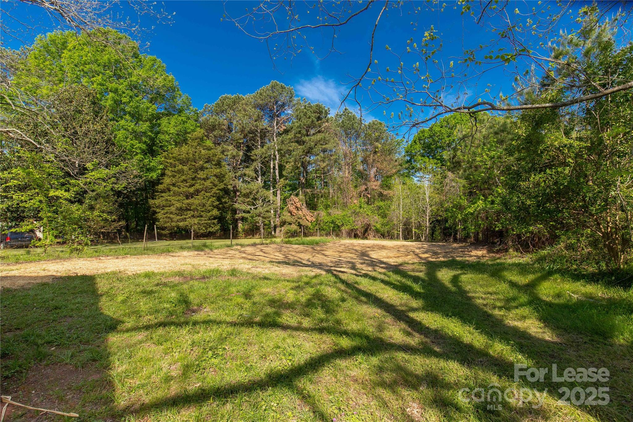 None - Residential Lease