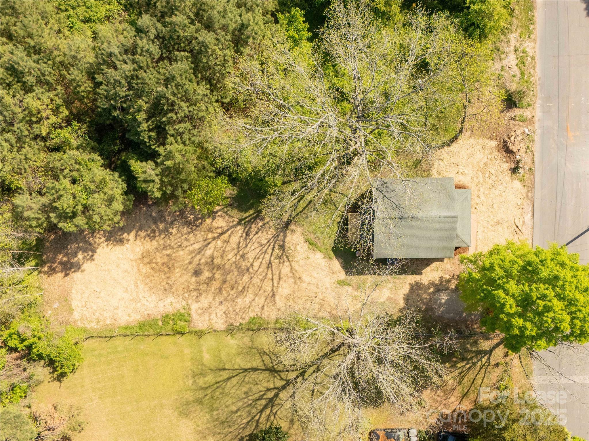 None - Residential Lease