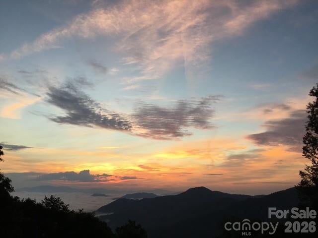 459 Lookout Drive