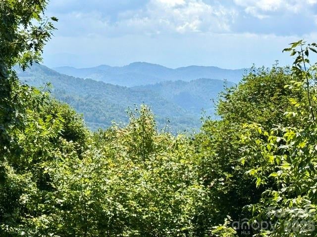 459 Lookout Drive