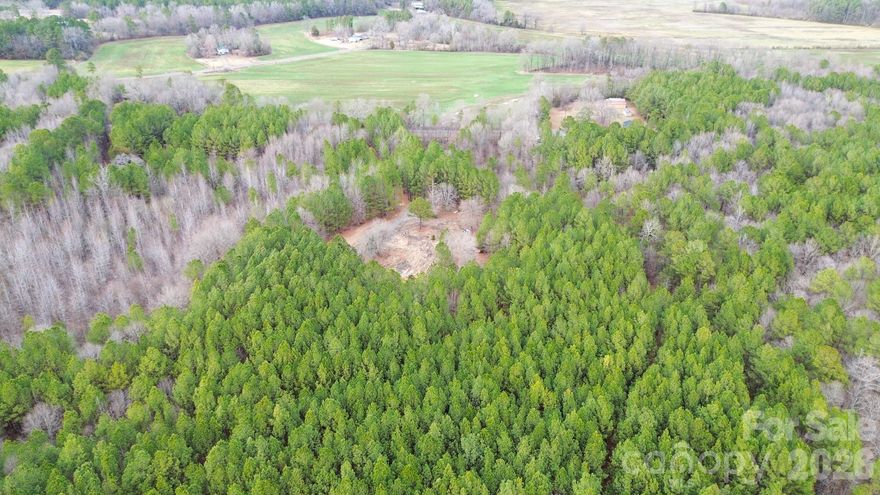 Experience the ideal mix of privacy and accessibility with this rural residential lot, located just 5 miles from Mt Gilead and a short 20-minute drive to scenic Lake Tillery. The property can be accessed via a private driveway that leads to the flat, cleared area ready for building. Outdoor enthusiasts will appreciate the deer sign throughout the property and excellent fishing in the nearby Pee Dee River. This property is well suited for both comfortable living and recreational use, with water and power already on site; you’ll just need septic. Embrace tranquil country life without sacrificing proximity to local amenities.