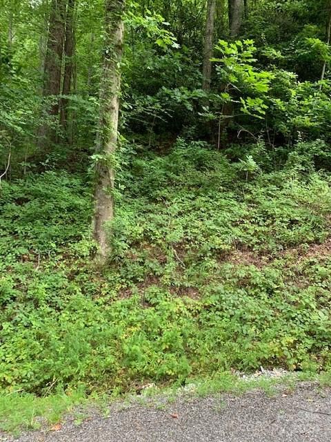 Lot 45-46 Mckenzie Way S 45-46 Old Fort NC 28762