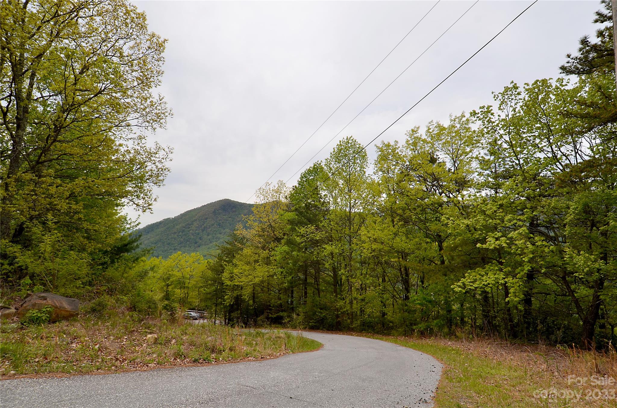 Linville Forest - Land
