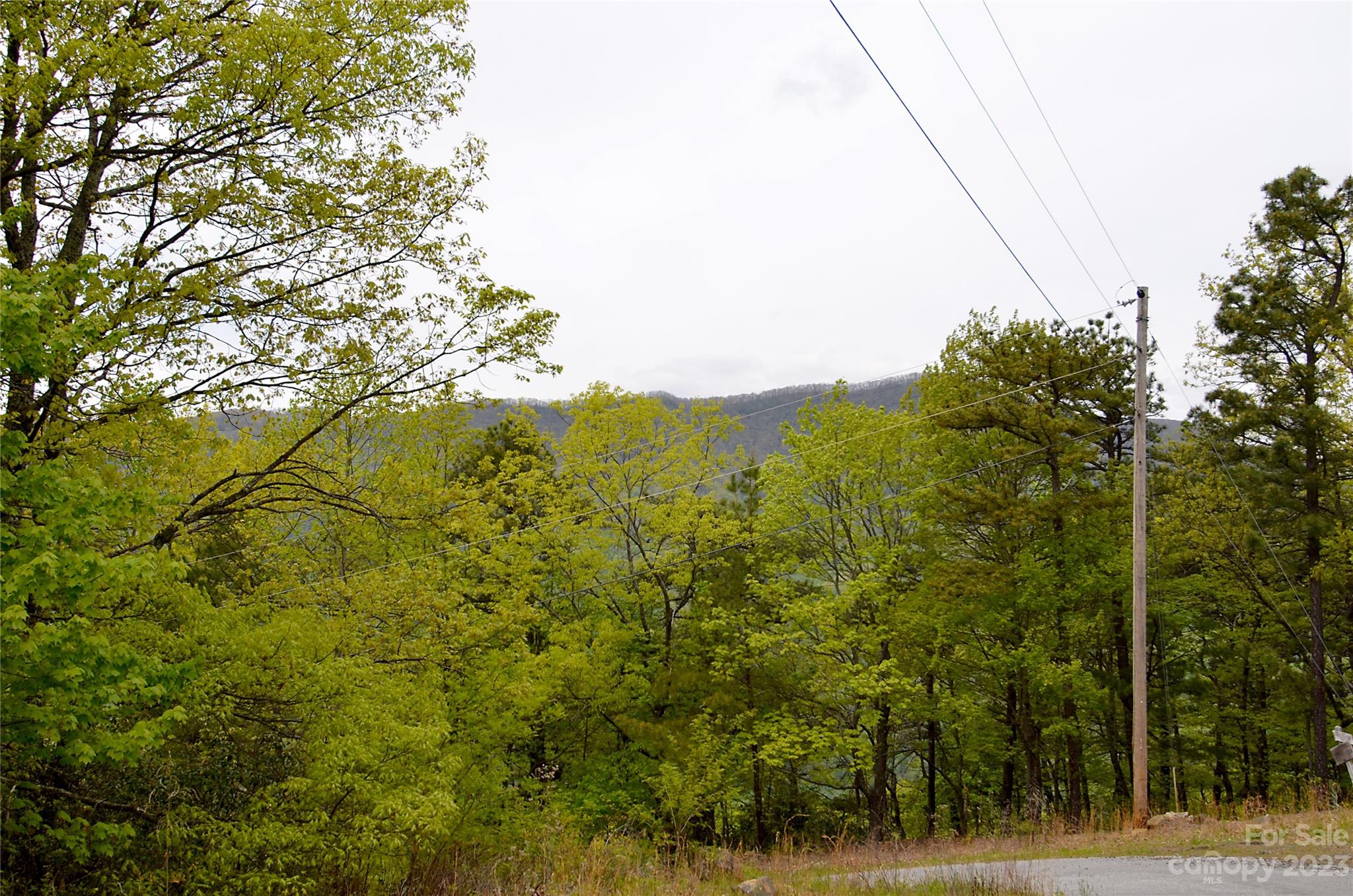 Linville Forest - Land