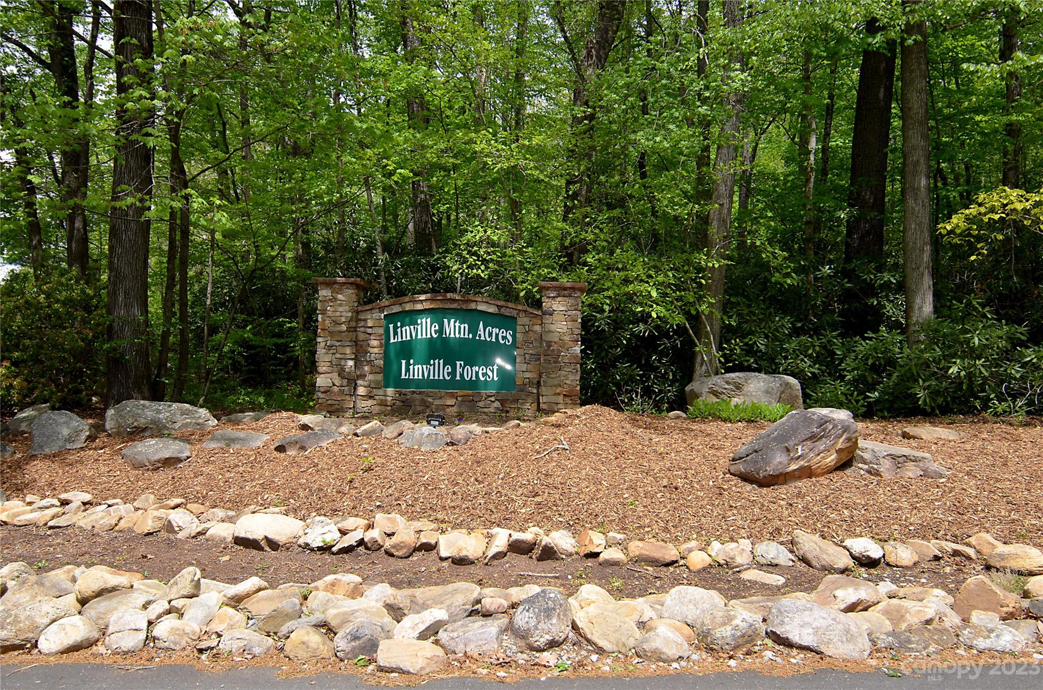 Linville Forest - Land