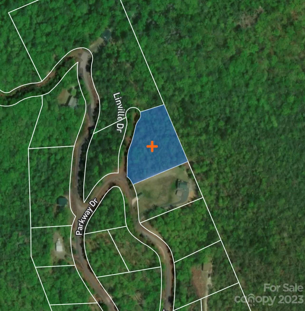 Linville Forest - Land