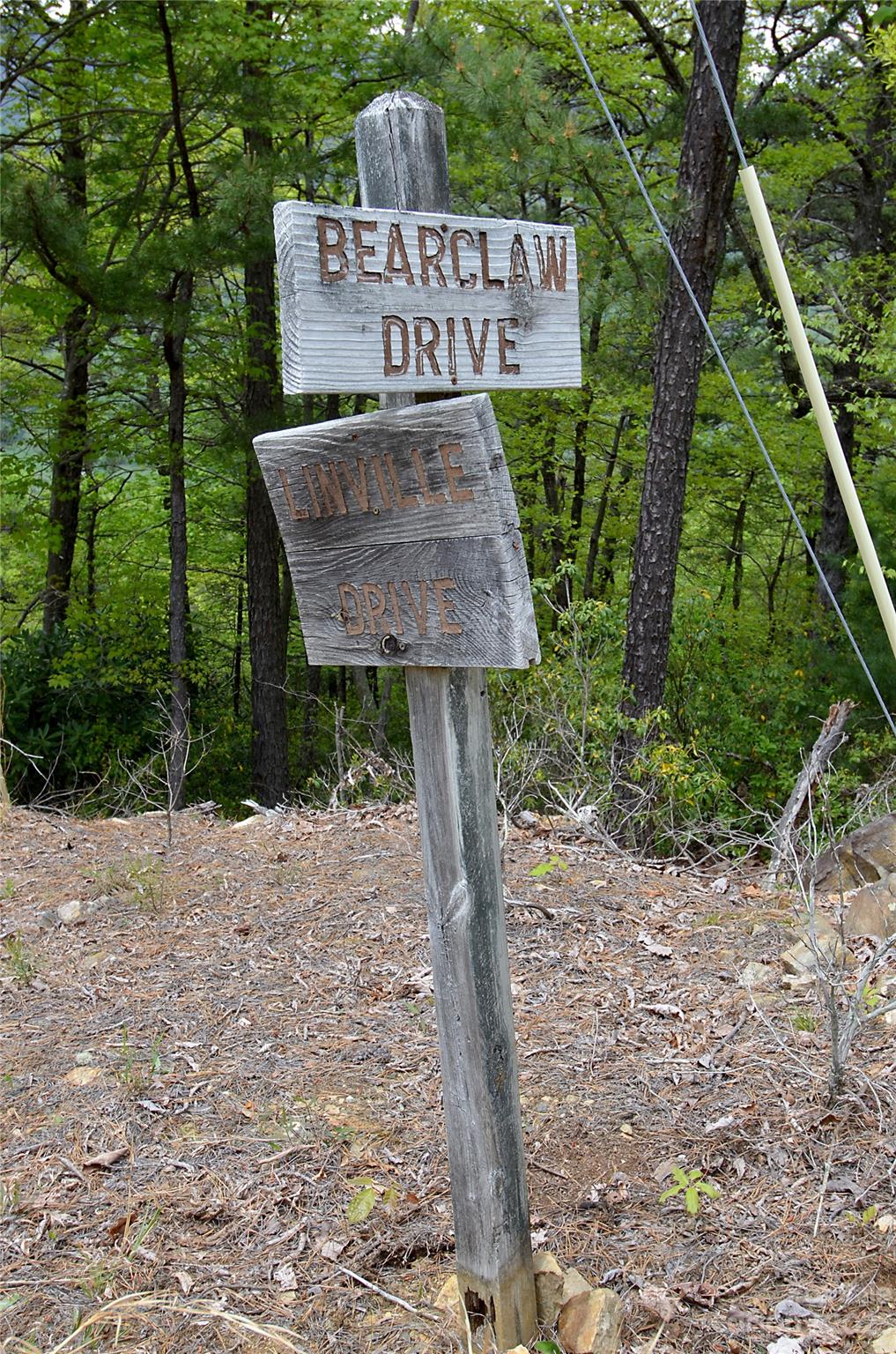 Linville Forest - Land
