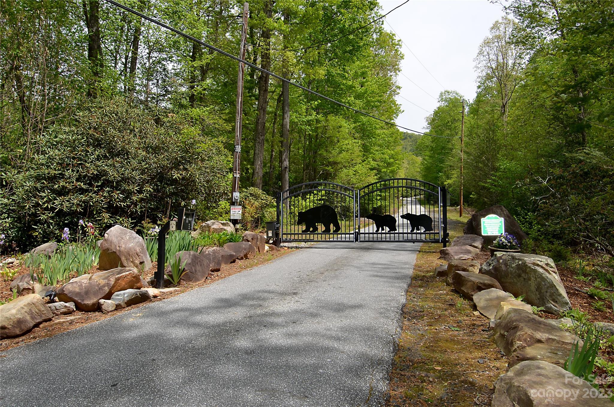 Linville Forest - Land