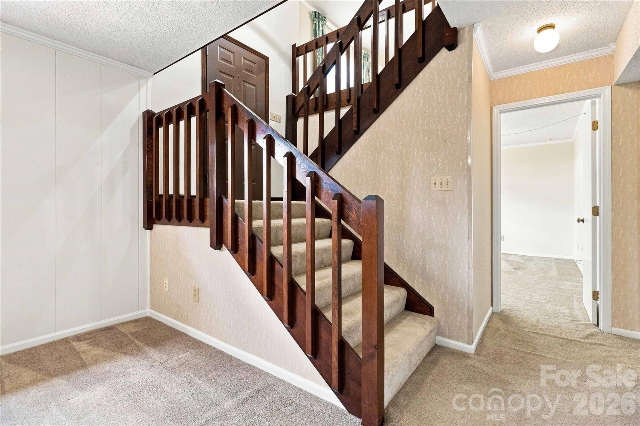 5000 Cedar Forest Drive