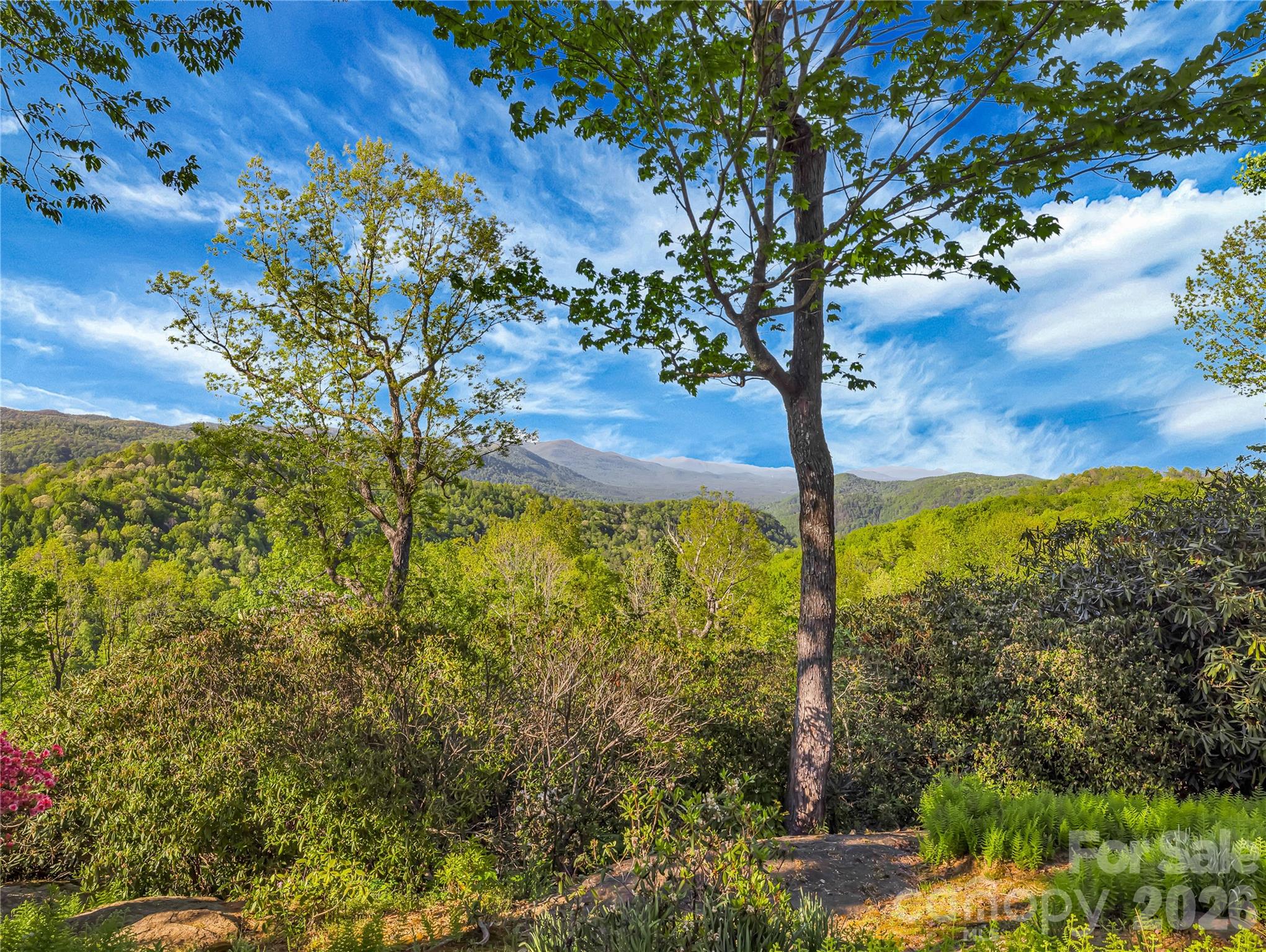 Glen Echo - Residential