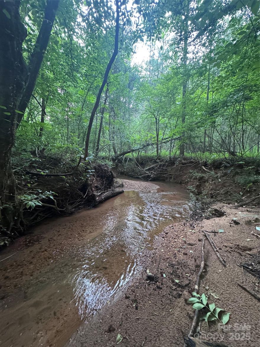 Discover the perfect place to build your dream home on this fabulous 2.19-acre lot located in the  gated Clearwater Creek community. Lot 203 offers a gorgeous natural creek at the rear—ideal for enjoying serene, wooded views and the soothing sound of running water. Gently sloped, however offering multiple buildable areas.
Located just minutes from historic downtown Rutherfordton, you'll enjoy the tranquility of mountain living with convenient access to shopping, dining, and community events.