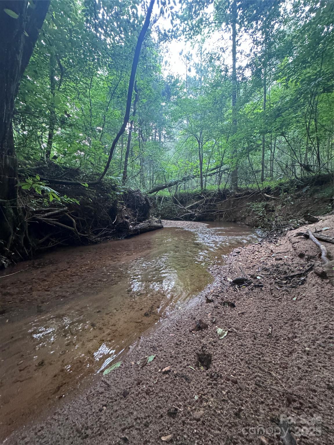 Clearwater Creek - Land