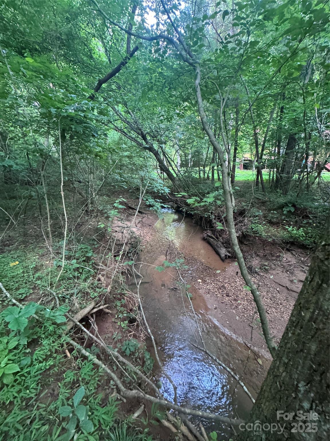 Clearwater Creek - Land