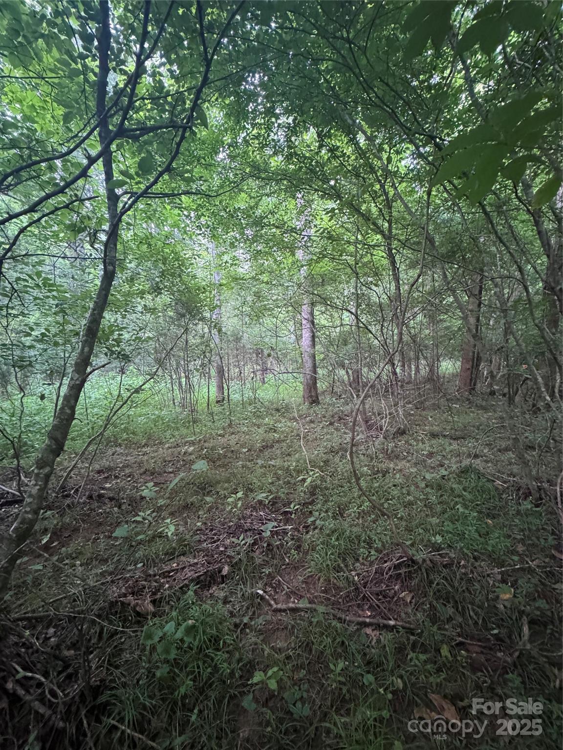 Clearwater Creek - Land