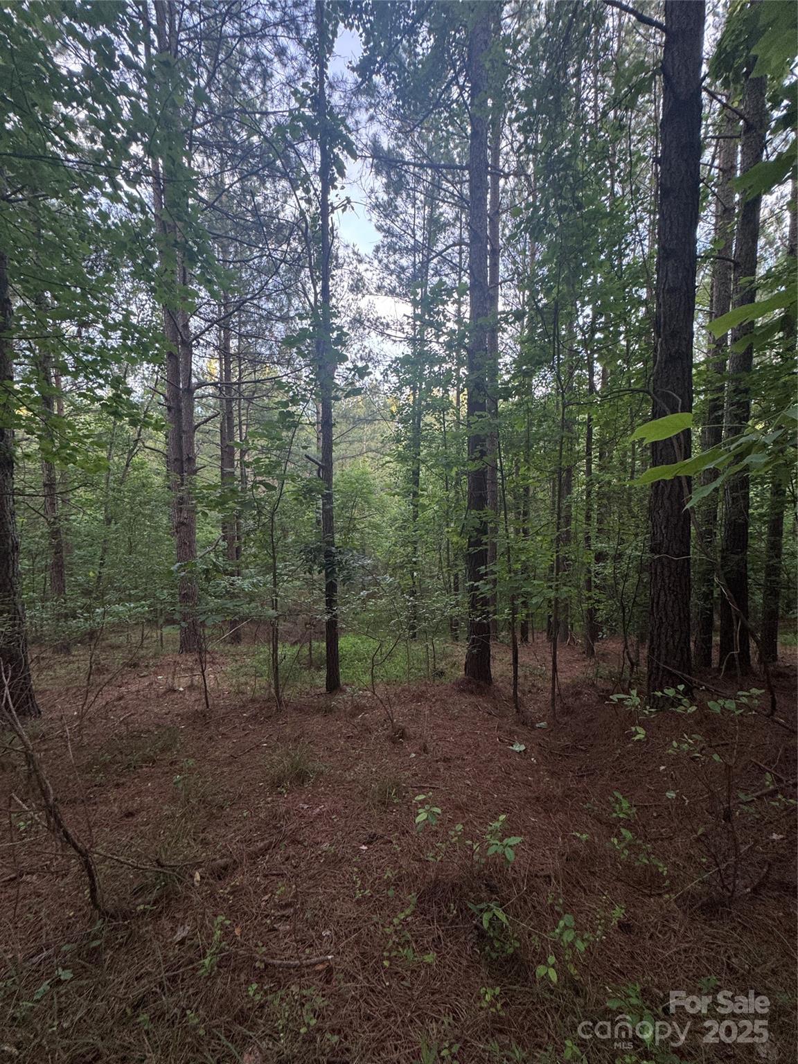 Clearwater Creek - Land