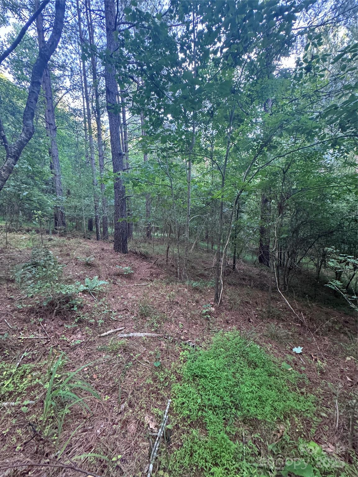 Clearwater Creek - Land