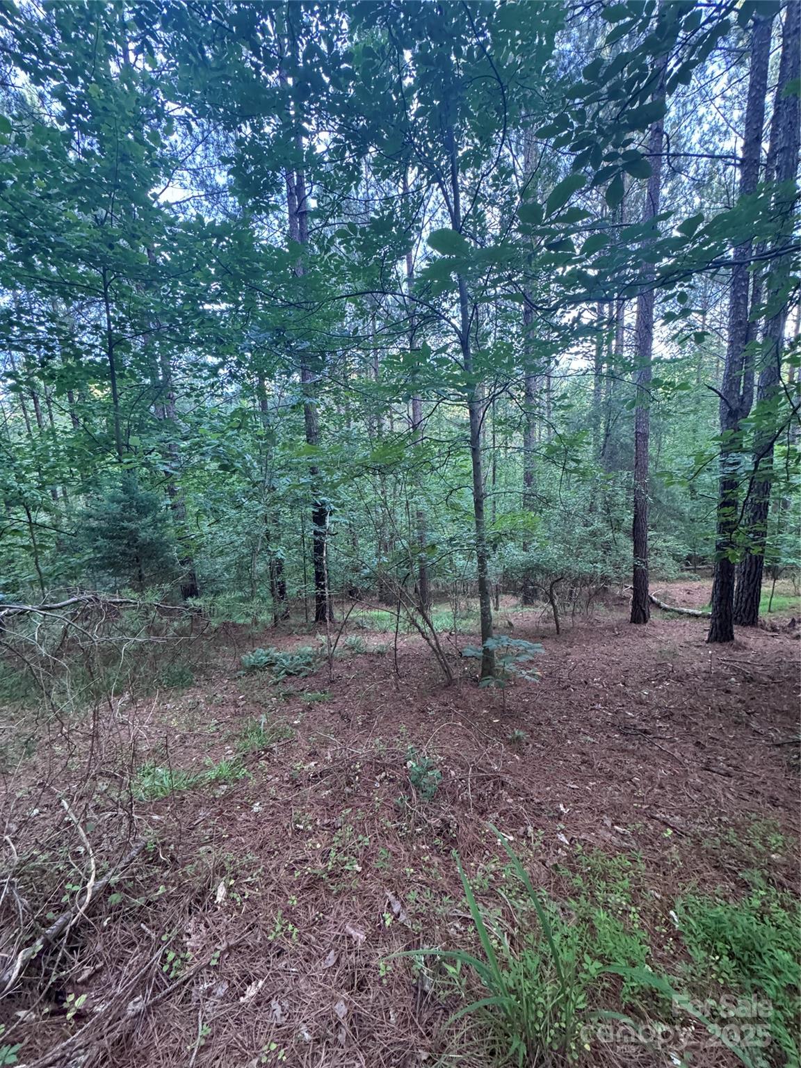 0 Clearwater Parkway 203