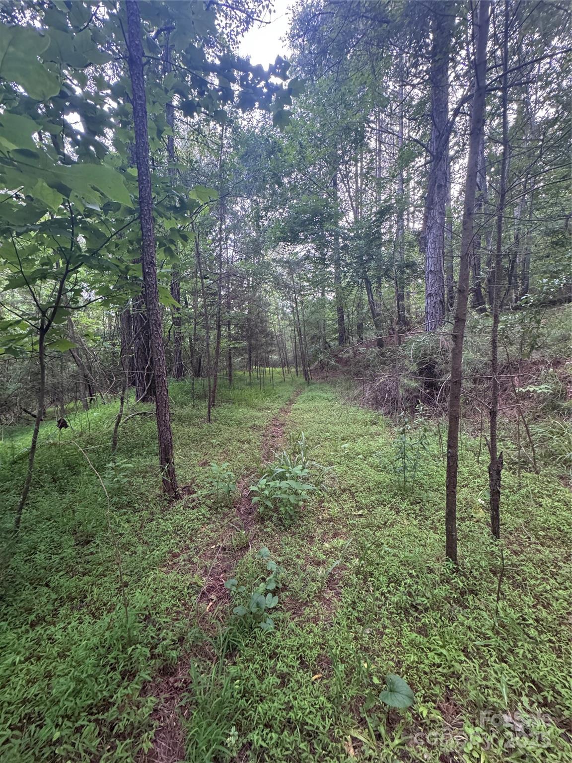 Clearwater Creek - Land