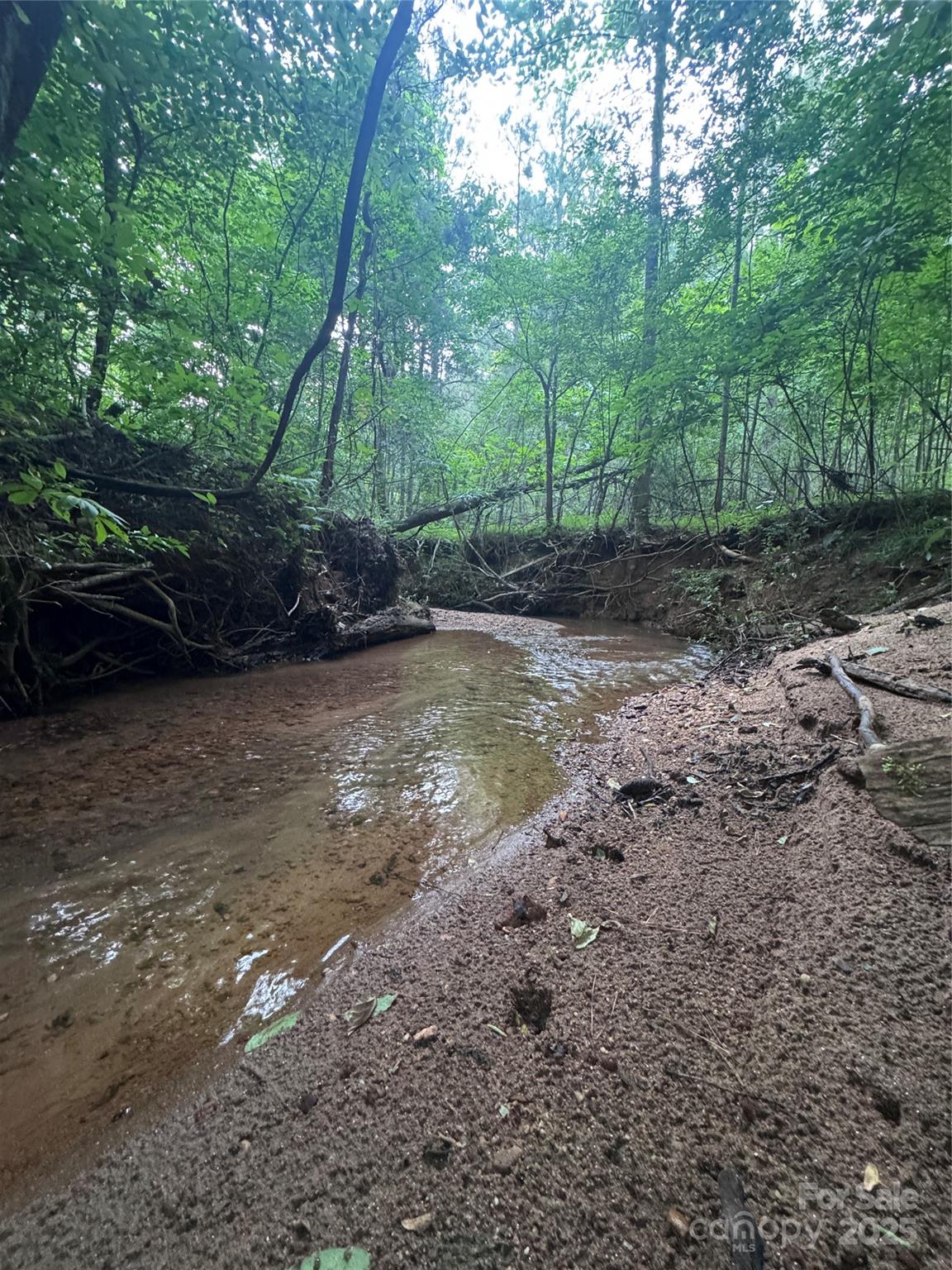 Clearwater Creek - Land