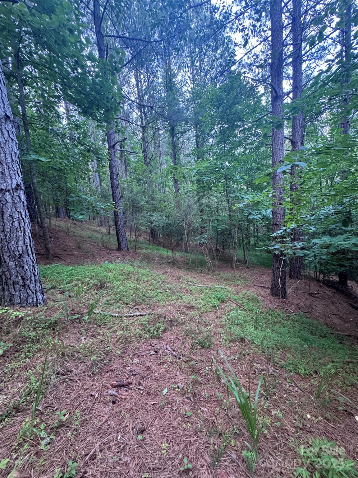 0 Clearwater Parkway 203