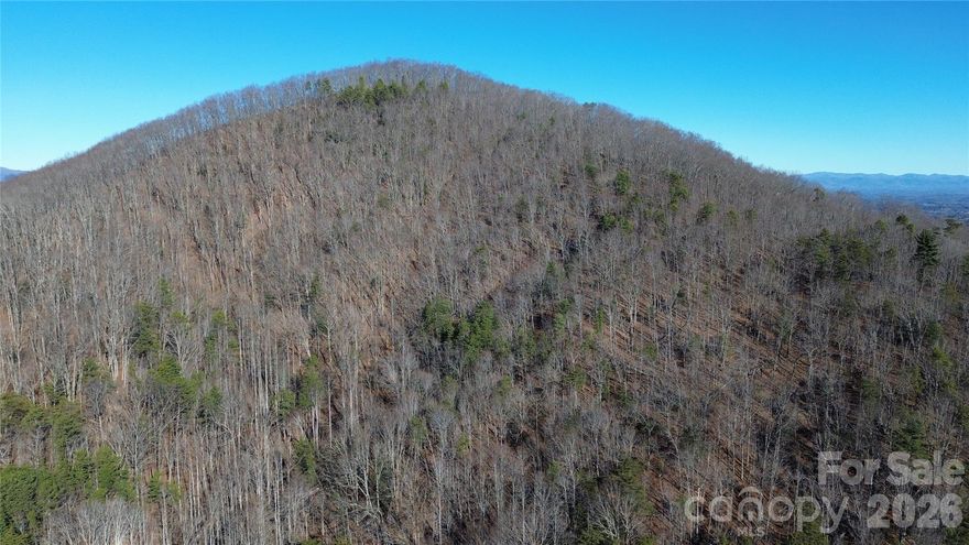 Tucked away in the woods just minutes from Asheville, this unrestricted 26.84-acre tract contains three contiguous tracts and offers a rare blend of privacy, natural beauty, and opportunity. The land is predominantly wooded, with a very rough logging road leading to a potential homesite where seasonal mountain views can be enjoyed. The property extends to all the way to the peak of the mountain.  Abundant wildlife activity throughout the property adds to its appeal, whether for hunting, recreation, or simply enjoying the outdoors. Located approximately 15 minutes from Asheville, this property provides a peaceful mountain setting without sacrificing convenient access to town.