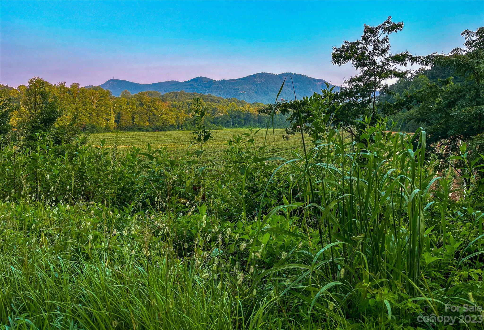 0 Fox Mountain Road 1