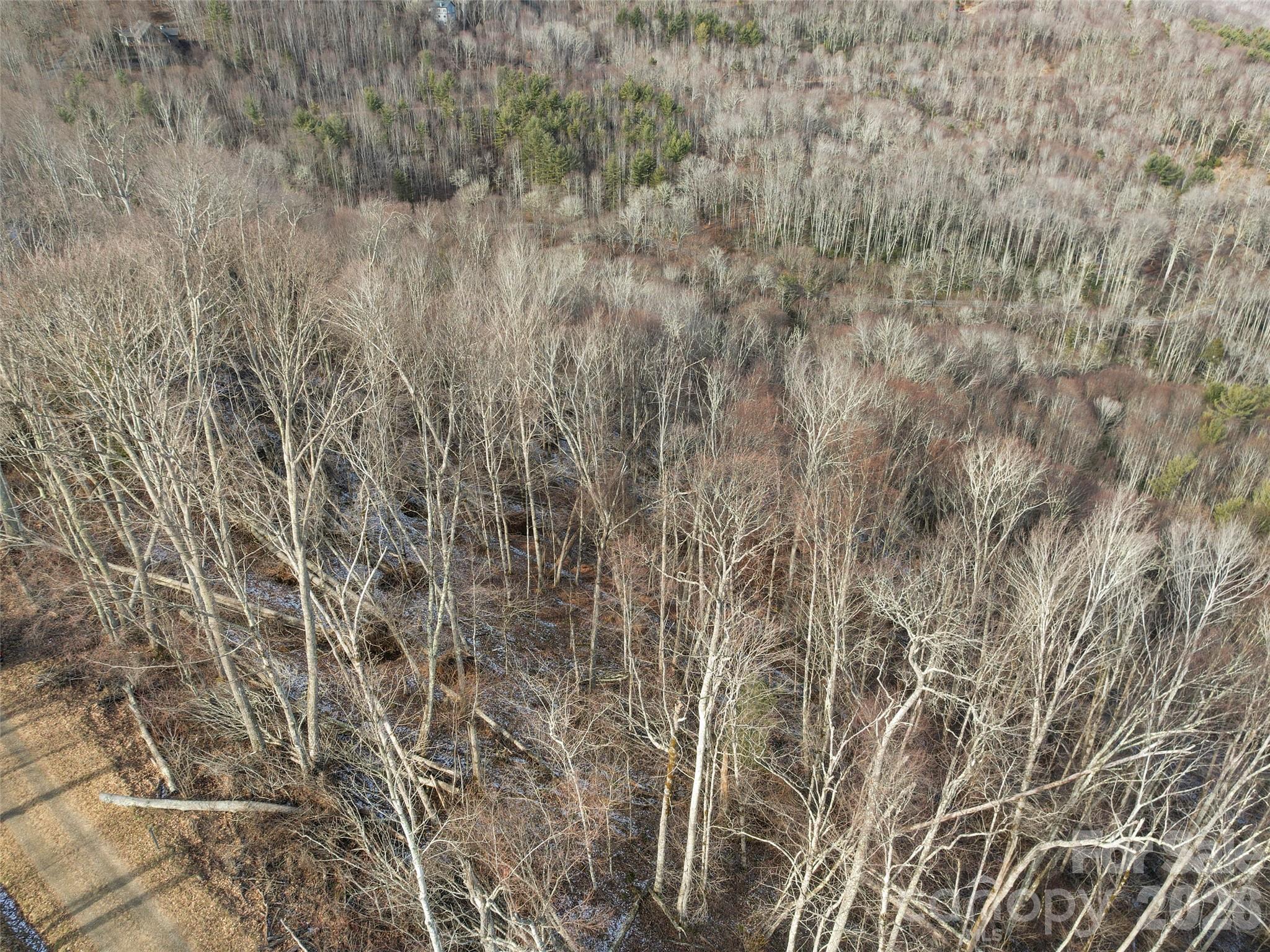 The Ridge Tops of Hawks Nest - Land
