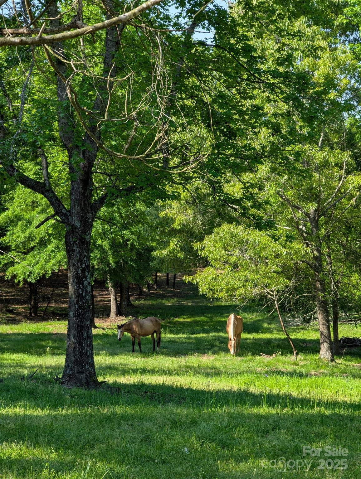 Joannas Lake - Residential