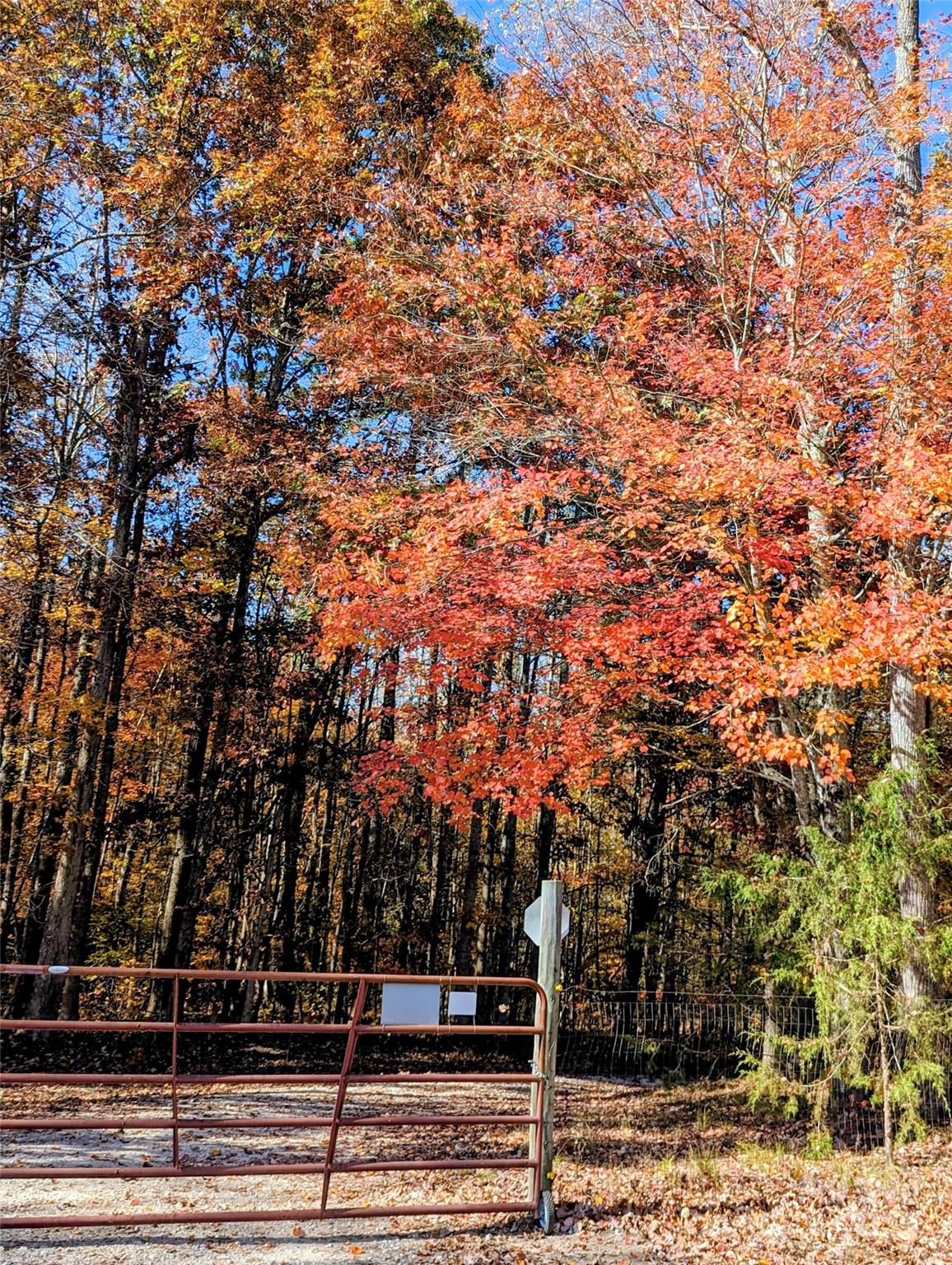 Joannas Lake - Residential