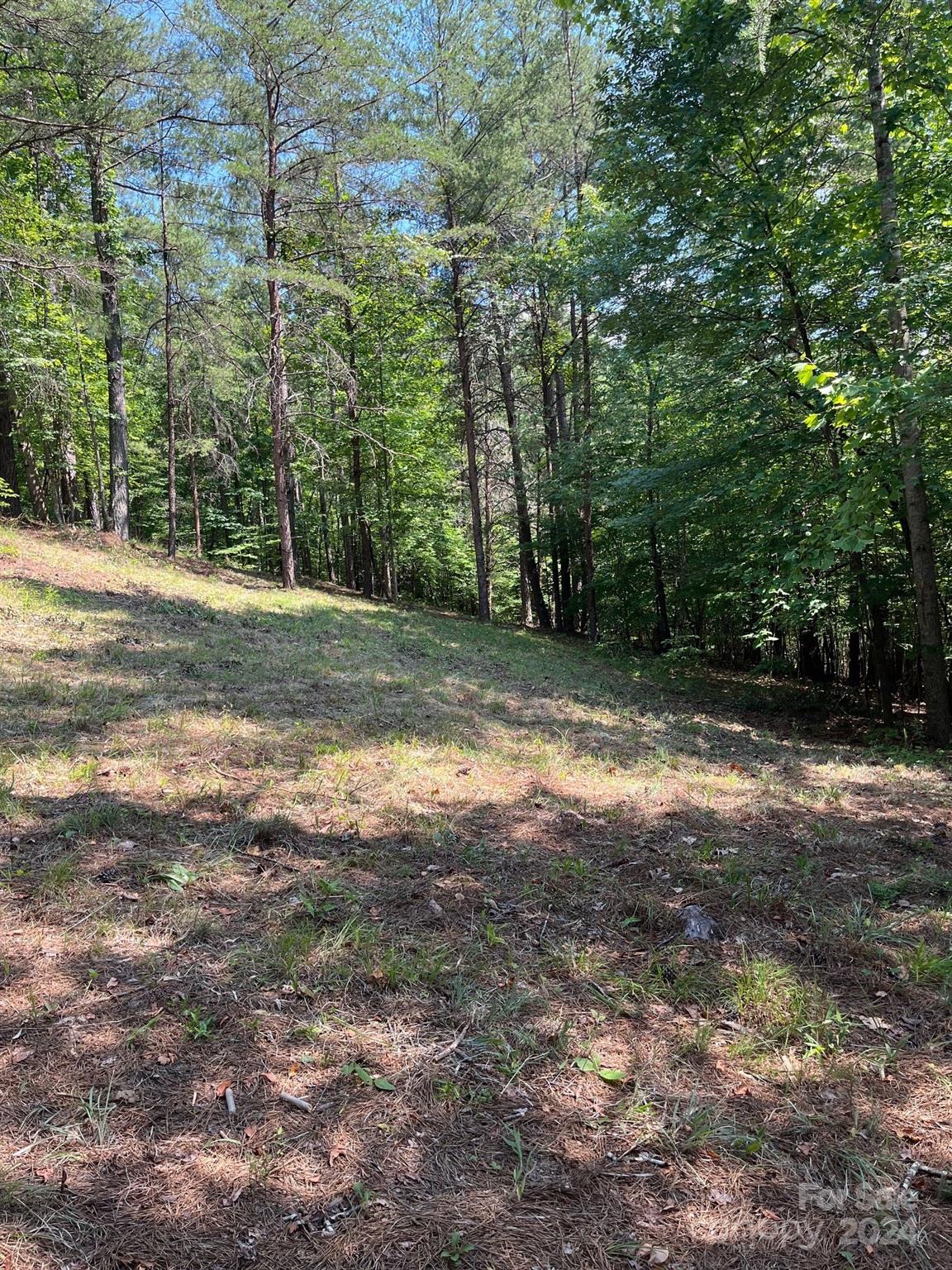 Lot 46 Lake Adger Parkway