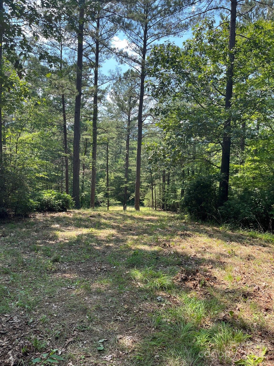 Lot 46 Lake Adger Parkway