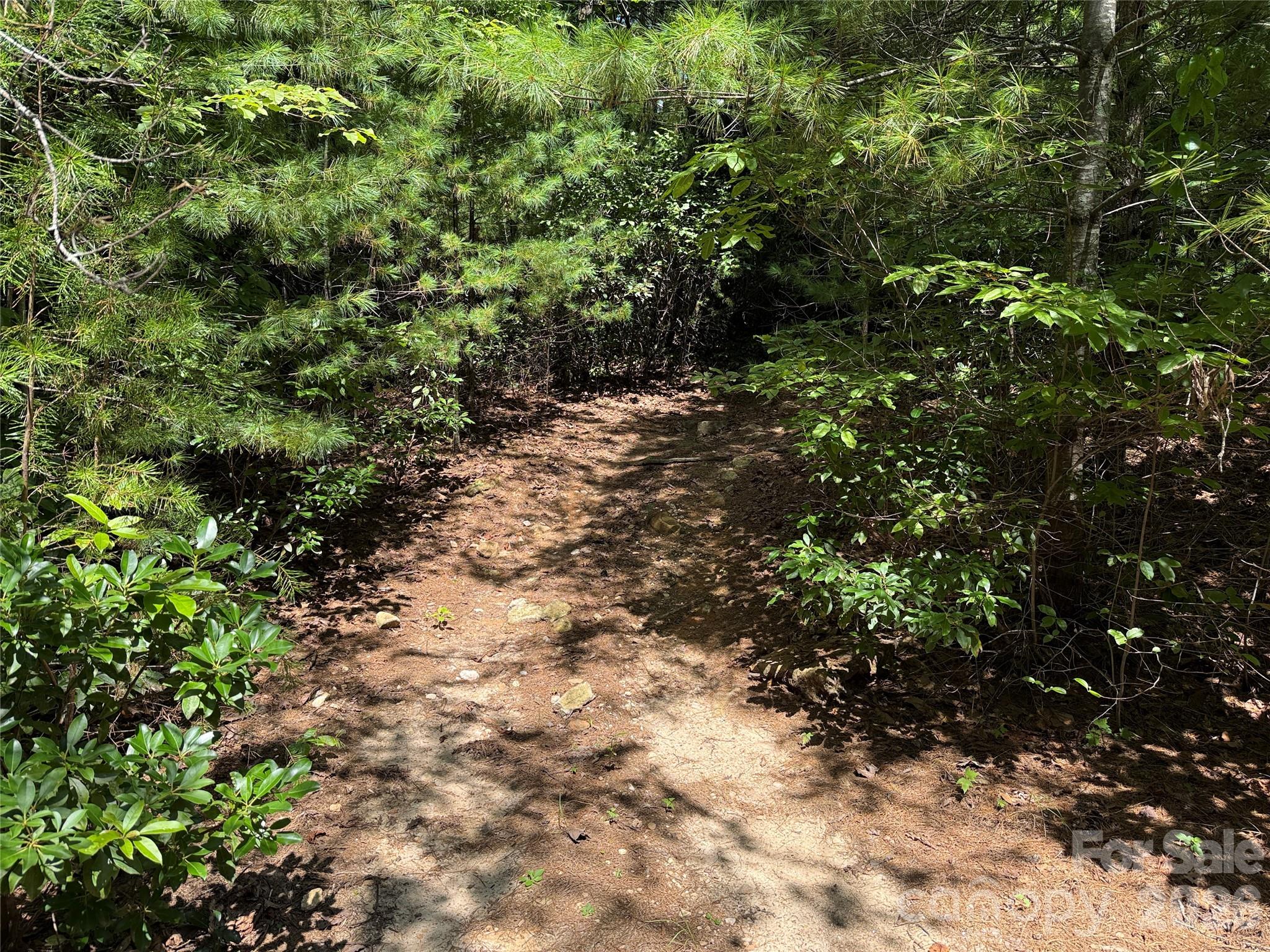 Buck Mountain - Land