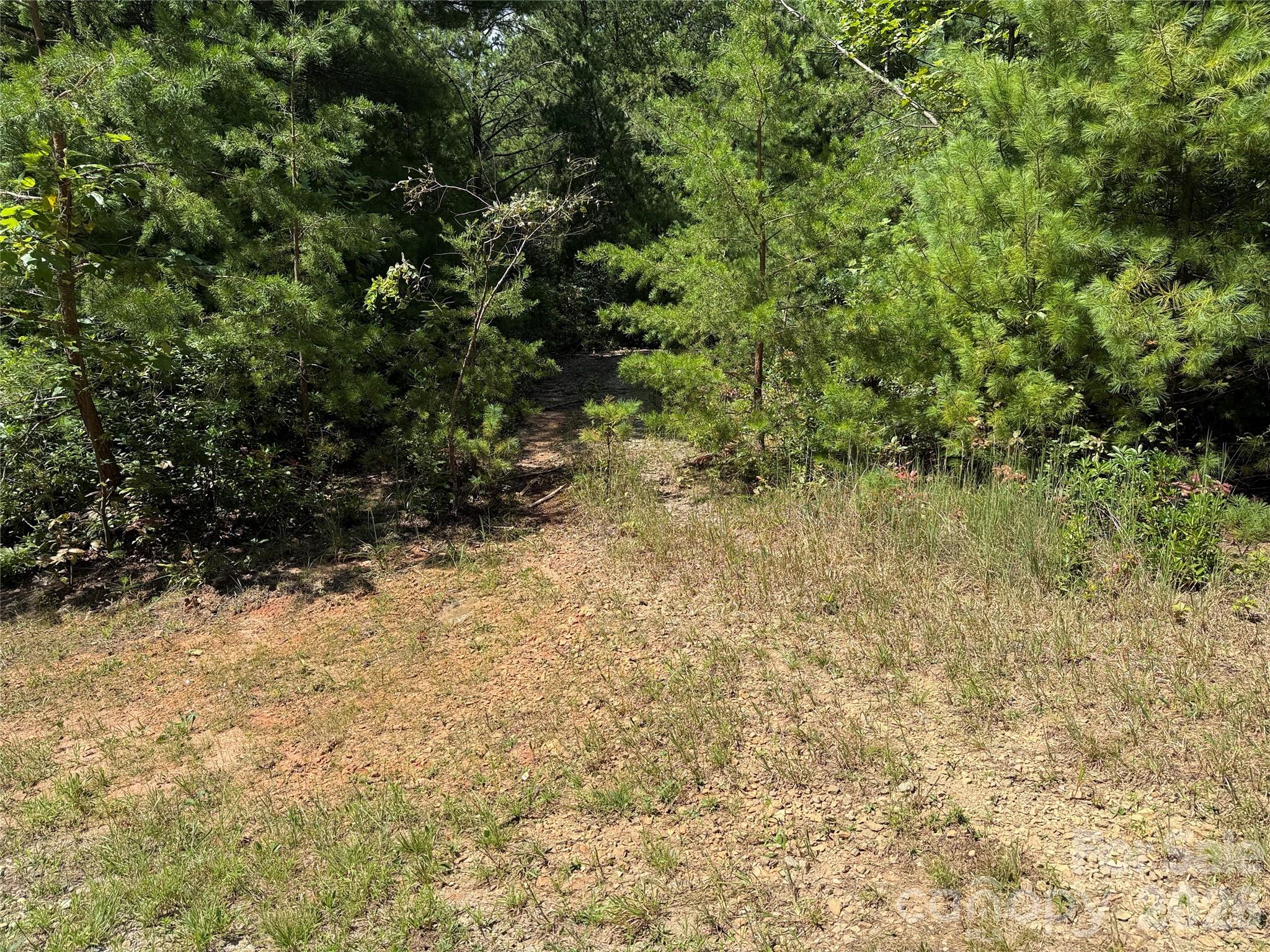 Buck Mountain - Land